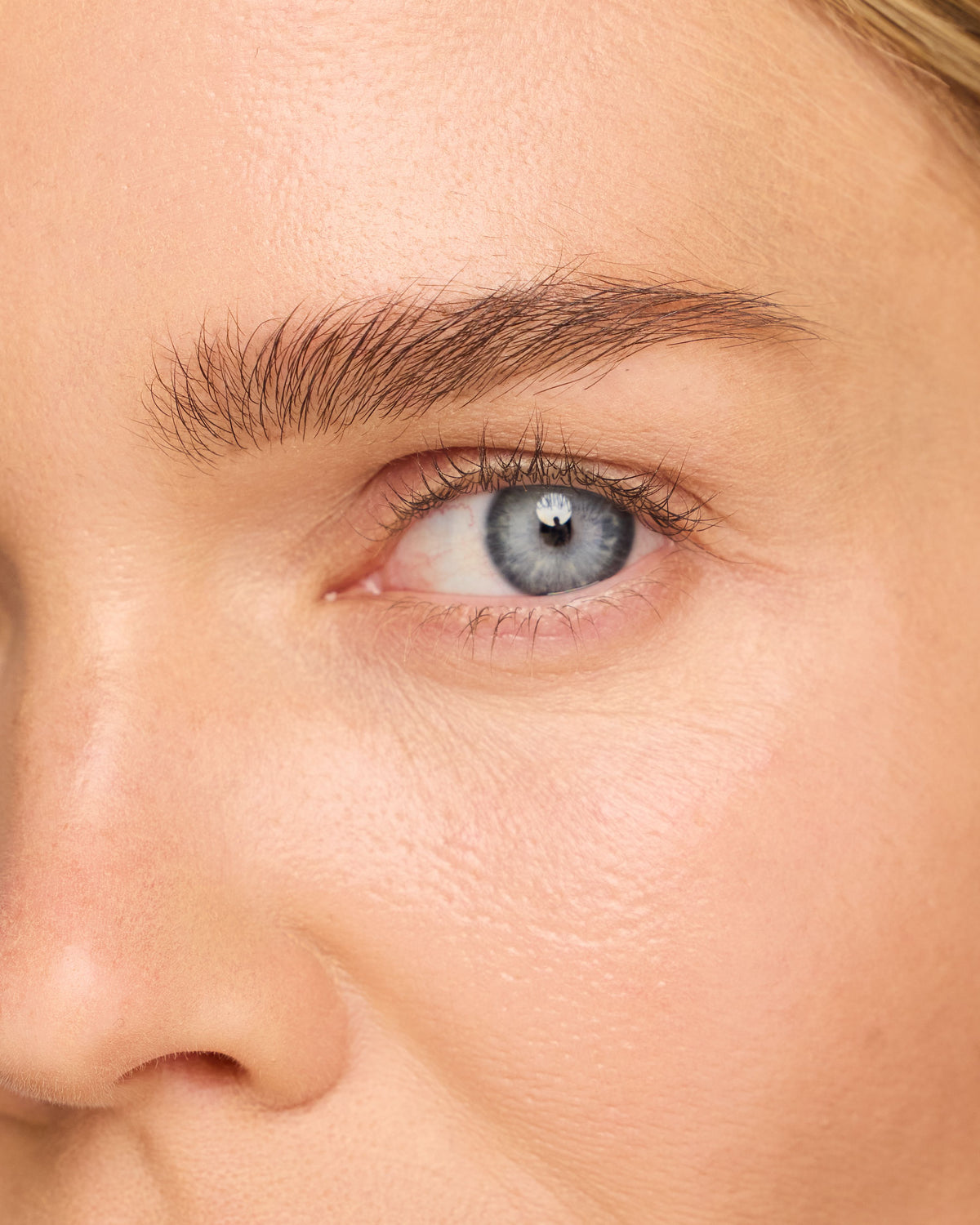 The Brow Pencil