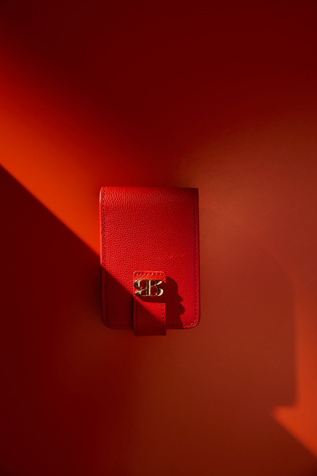 Mr. Gustave - Leather Case