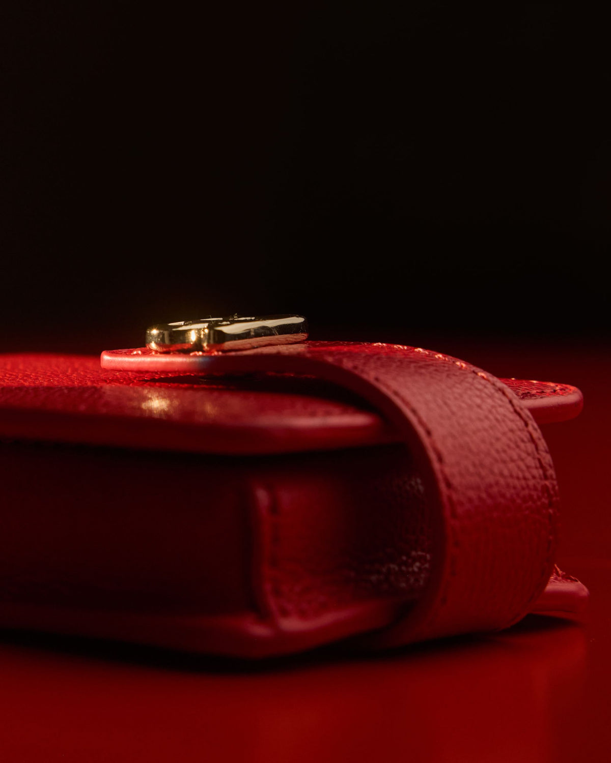 Mr. Gustave - Leather Case