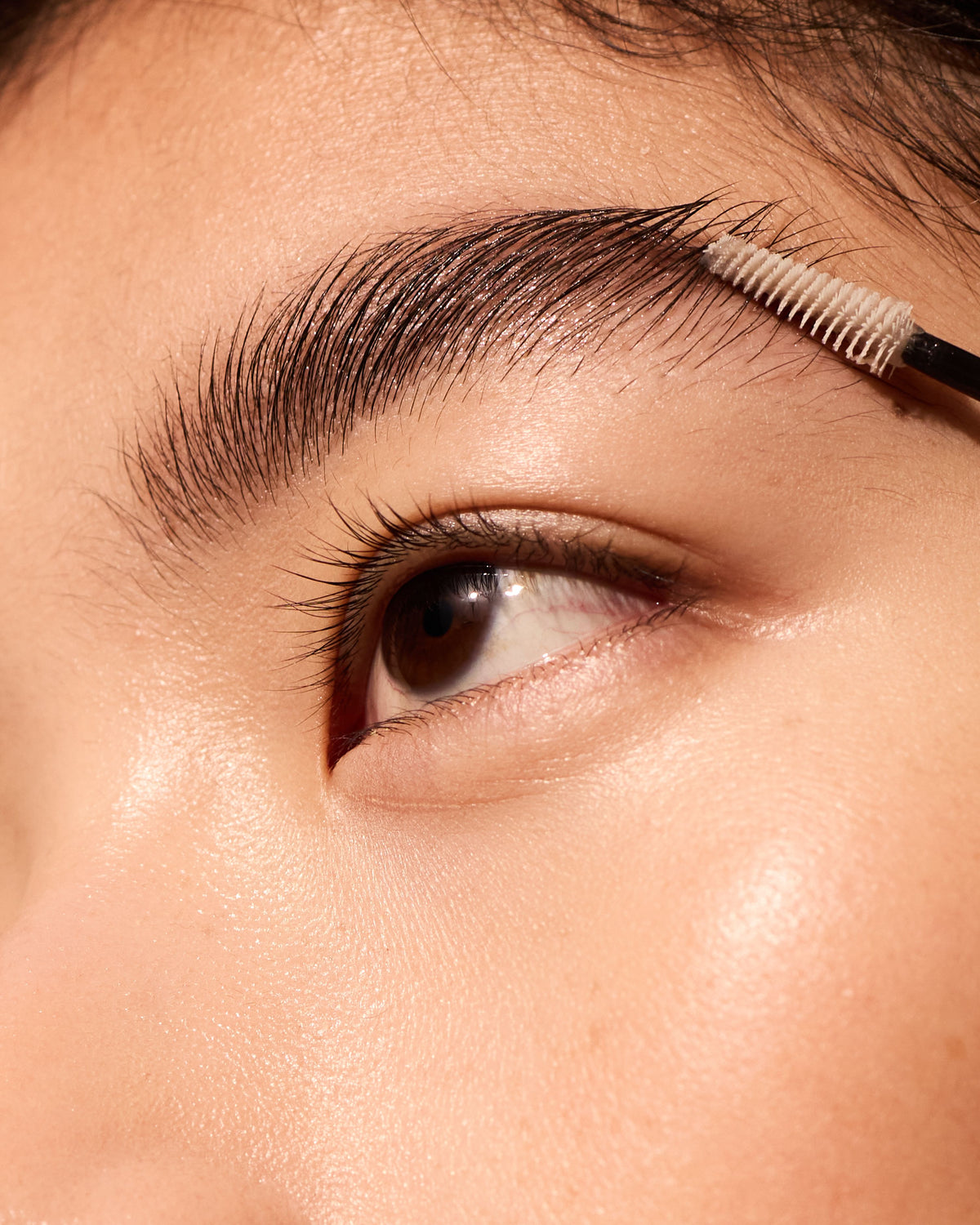 The Brow Gel
